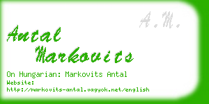 antal markovits business card